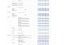 build excel financial models, forecasting, budgeting, and analysis reports